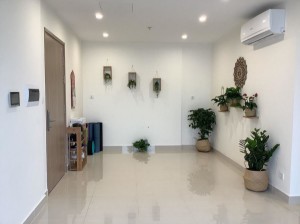 Ảnh của Cần bán căn hộ toà nhà s201 dự án vinhomes smart city, nam từ liêm, hà nội, giá tốt