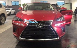 Ảnh của Lexus NX 300 2020