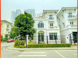 Ảnh của ✨ siêu sốc! bán biệt thự đơn lập embassy garden, 260m2, 3 tầng, hiếm nhà bán, vị trí cực đẹp, hàng xóm cấp cao, không có căn thứ 2.