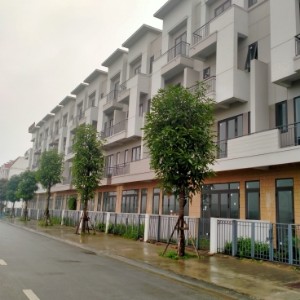 Ảnh của Cơ hội mua nhà đẹp, giá tốt nhất chỉ 3.x tỷ tại Centa Vsip Từ Sơn
