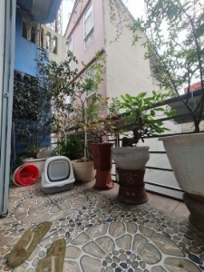 Picture of Nhà ngõ Nguyễn Chí Thanh,40m,sát ô tô, đối diện VINCOM,6.6 tỷ,0987189596