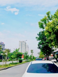 Picture of SIÊU PHẨM Chào bán căn Biệt Thự mặt đường Lê Hồng Phong, Hải Phòng. Vị trí đẹp
